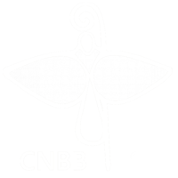 CNBB